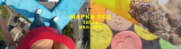 сатива Алзамай