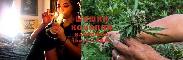 сатива Алзамай